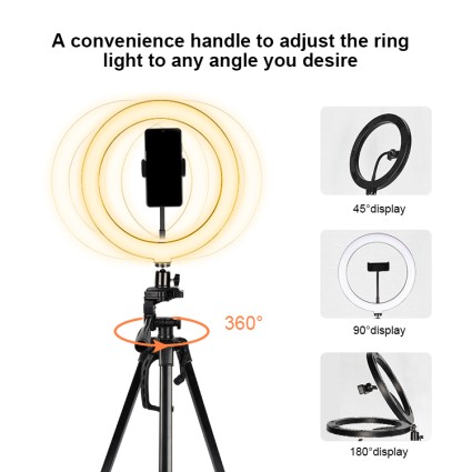Ring Light Model 3360 for YouTube and Tik Tok | With Stand max. 167 cm & Bluetooth Remote Control